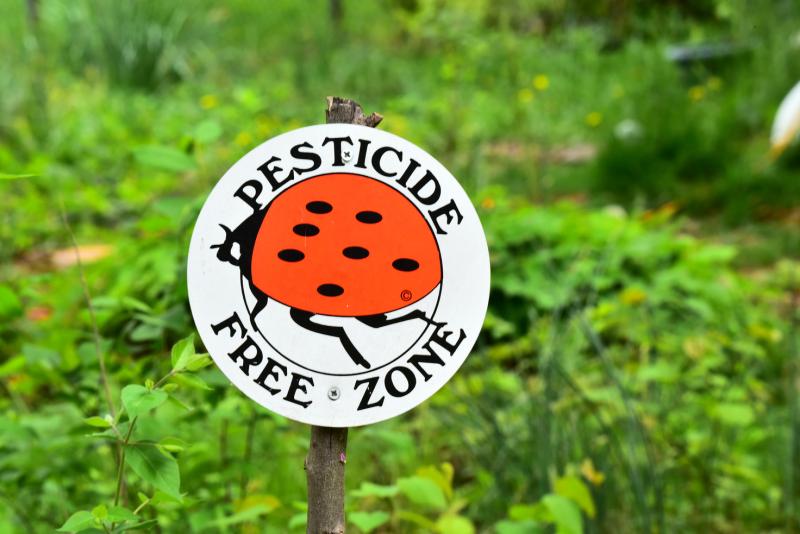 image of lady bug on sign stating pesticide free-zone