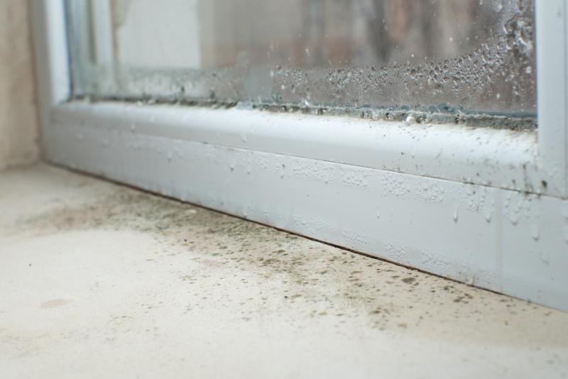 Black mold fungus growing on windowsill. Dampness problem concept.