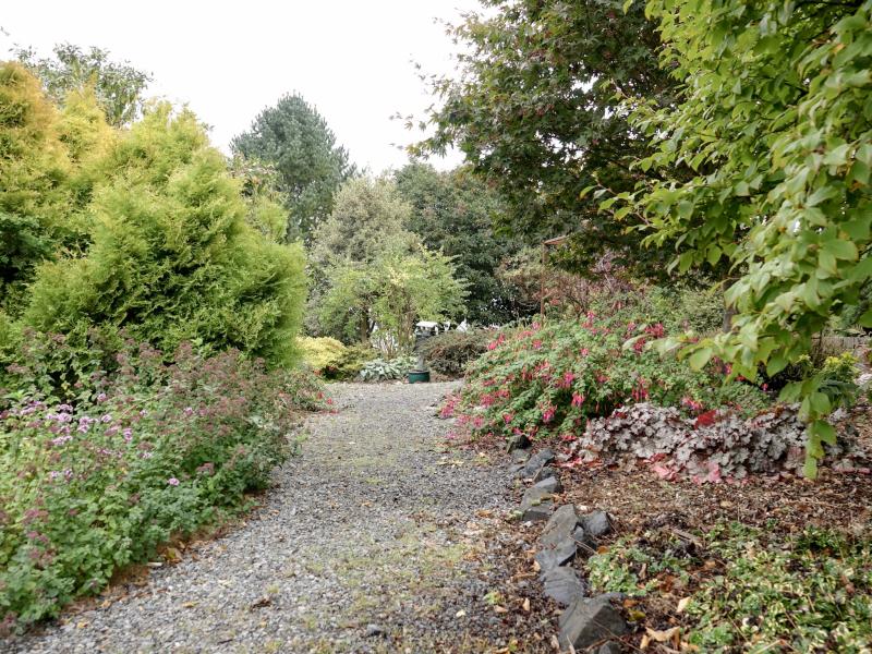 pathway meandering through lush vegetation at the closed loop park