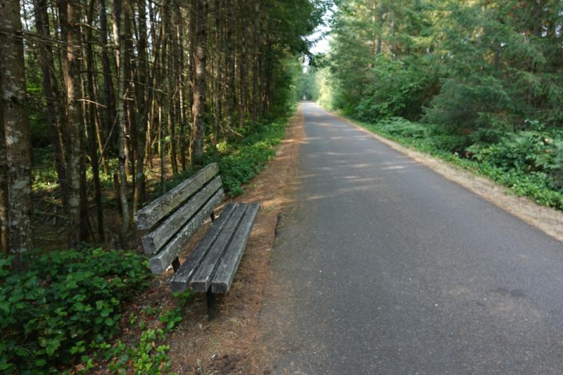 a path runs through a wooded area with a bench near the side of the paved trail