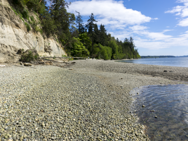 The rocky shoreline at Burfoot Park WA