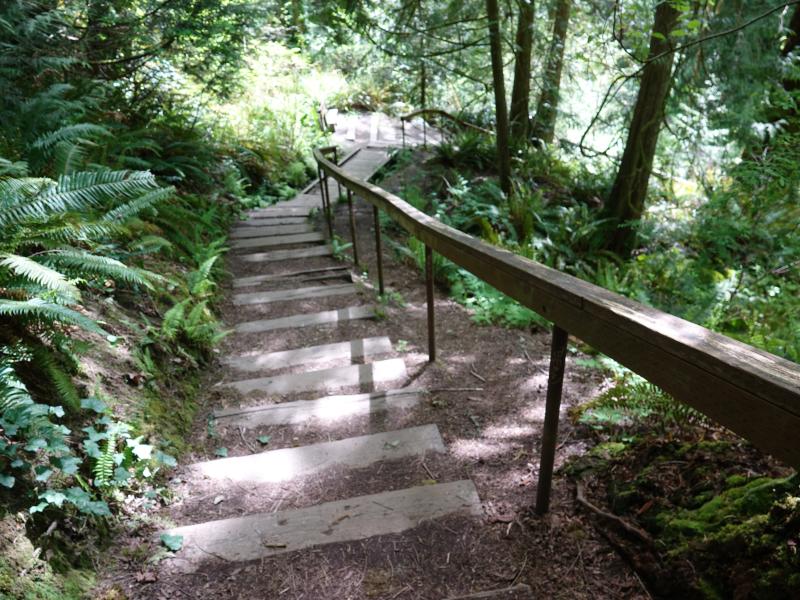 Stairs in the woods at Burfoot Park WA