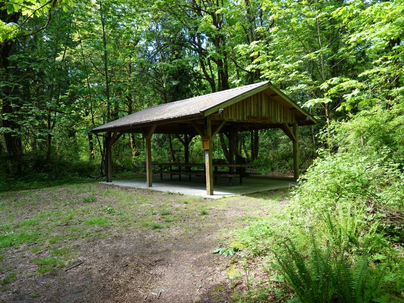 A shelter with picnic tables underneath at Burfoot Park WA