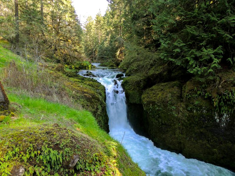 A photo of the falls at Deschutes Falls Park