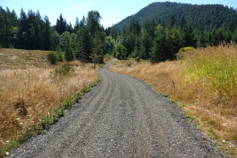 County road at Deschutes Falls Park