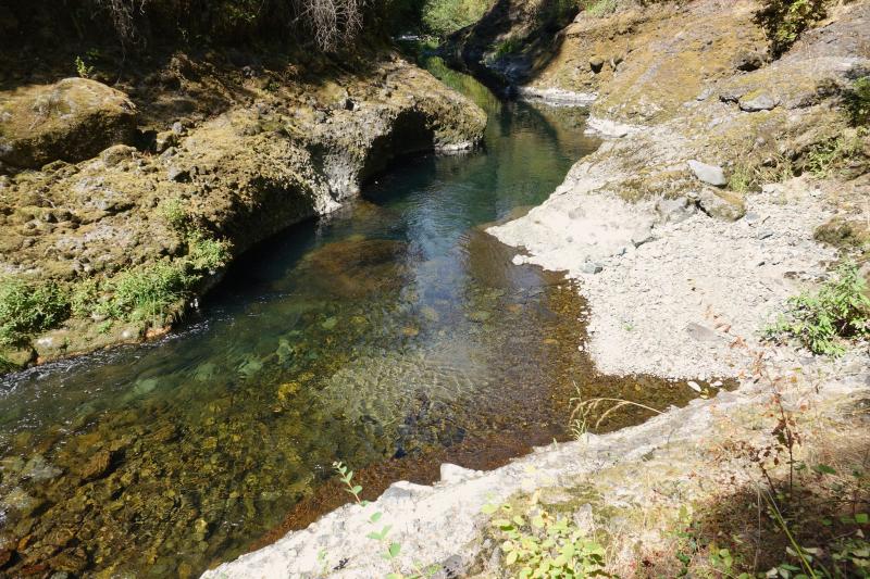 Deschutes river water at Deschutes Falls Park