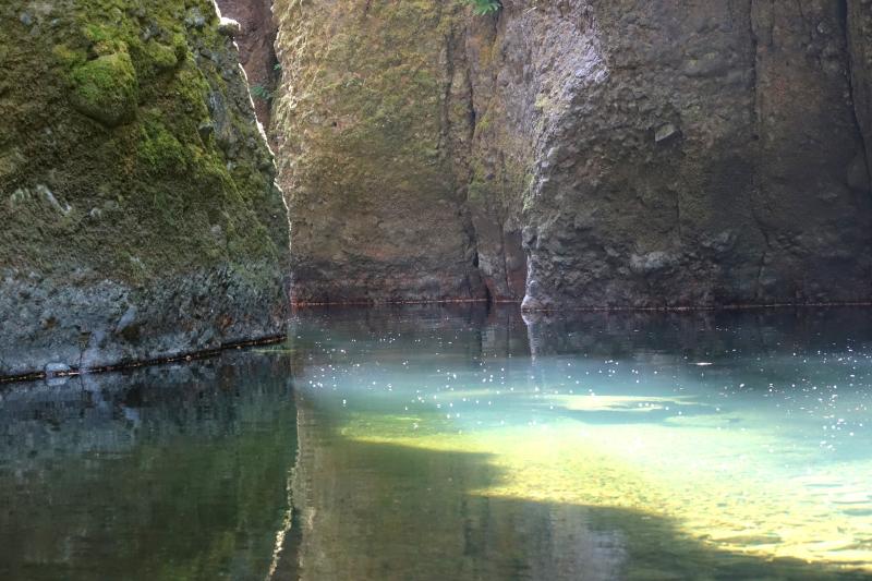 Calm water at Deschutes Falls Park