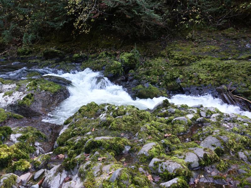 Fast flowing river water in Deschutes Falls Park