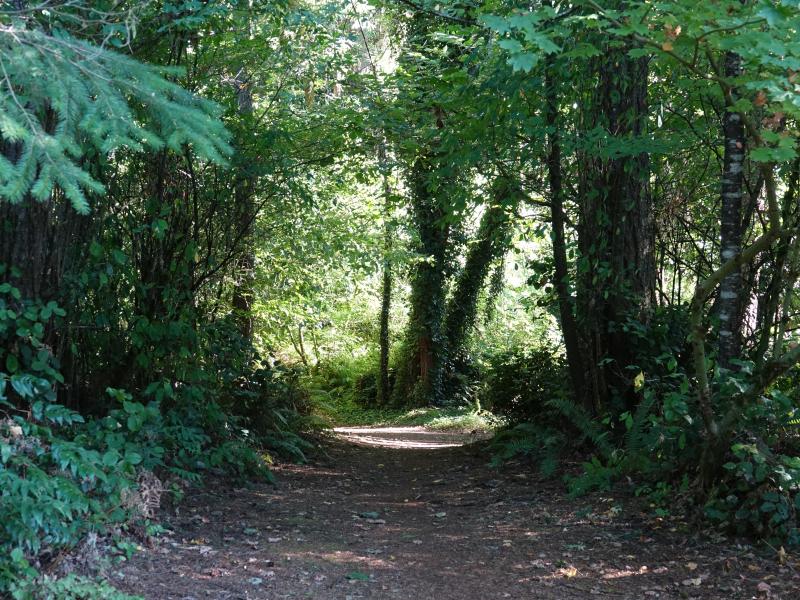 Walking the trail at Kenneydell Park.  Trees covering this section of the trail providing shade. 