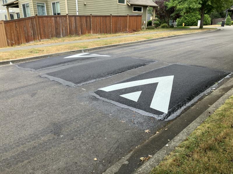 Speed hump on Thurston County road
