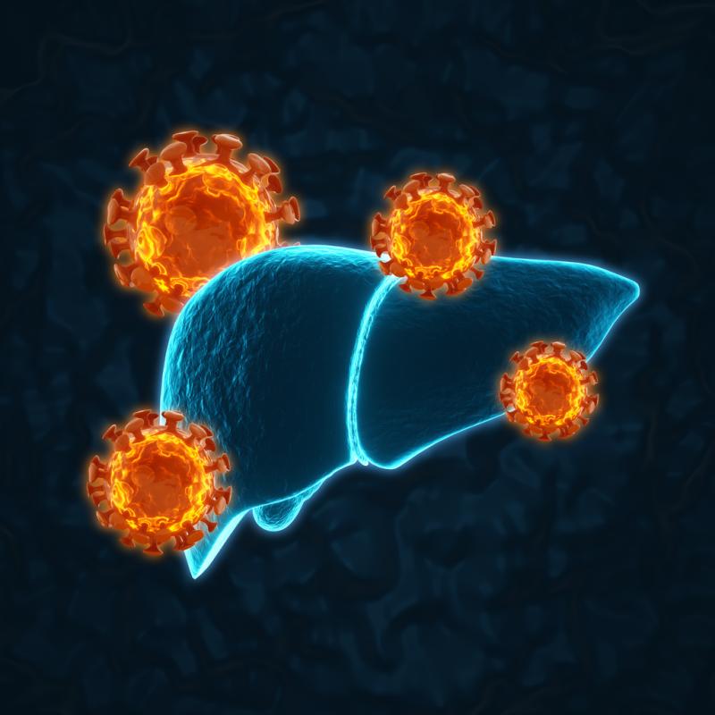 Human liver with Hepatitis A virus cells on dark blue background stock photo