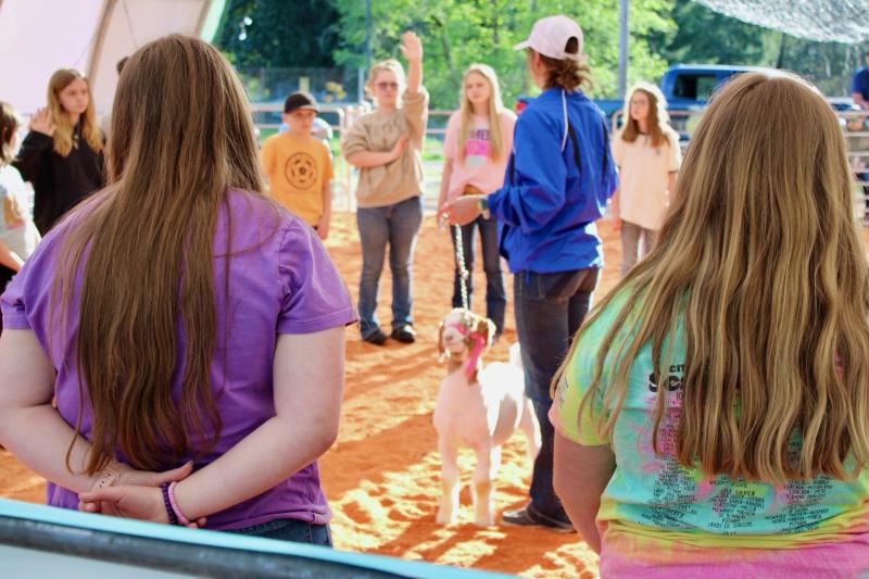Youth at goat clinic at Youth Expo