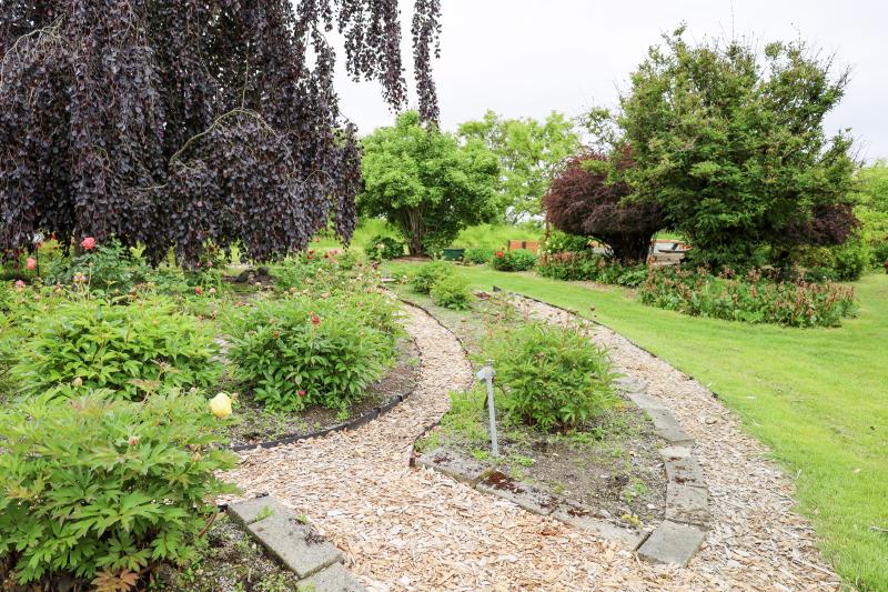 A number of peony plants are arranged in a garden bed with a path around the outside. Trees frame the image and a grassy area is shown in the background.