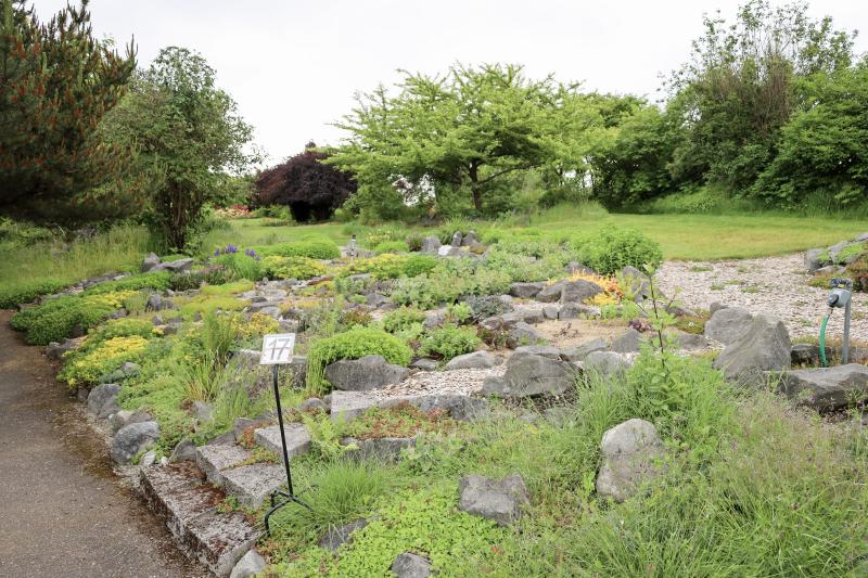 A pathway is shown next to a garden bed with creeping plants, labels present. Small trees border the edge of the garden area.