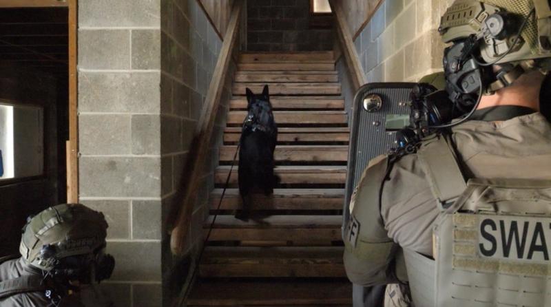 K9 WITH SWAT