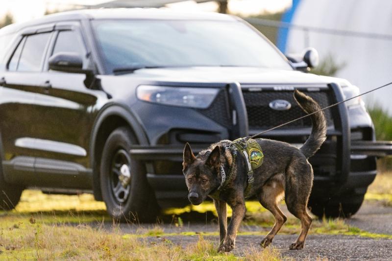 TCSO K9 ON A SEARCH