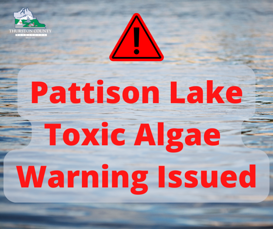warning notice for toxic algae at lake Pattison in Thurston County, Washington