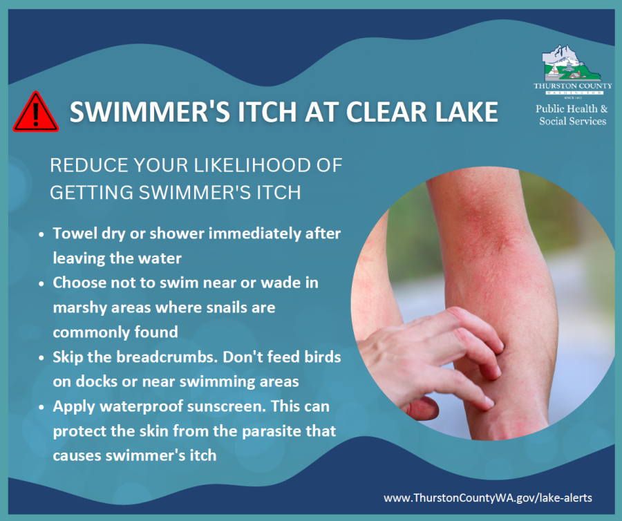 flyer warning that swimmers itch was reporter at clear lake in thurston county. white text on blue background with inset photo of a man scratching his arm.
