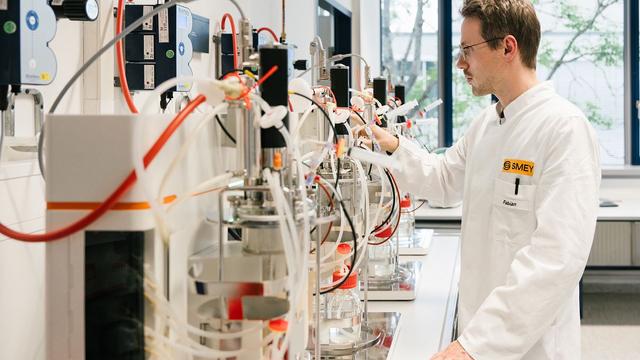 Can lab-grown oils offer a sustainable alternative to ingredients linked to deforestation?