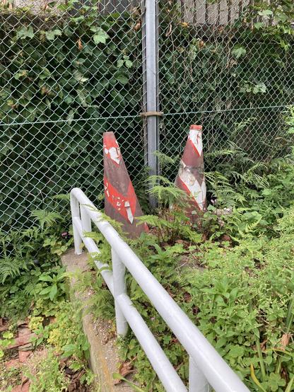 Two weathered traffic cones with red and white markings are situated against a green, leafy background, next to a gray railing. The setting appears overgrown with various plants.