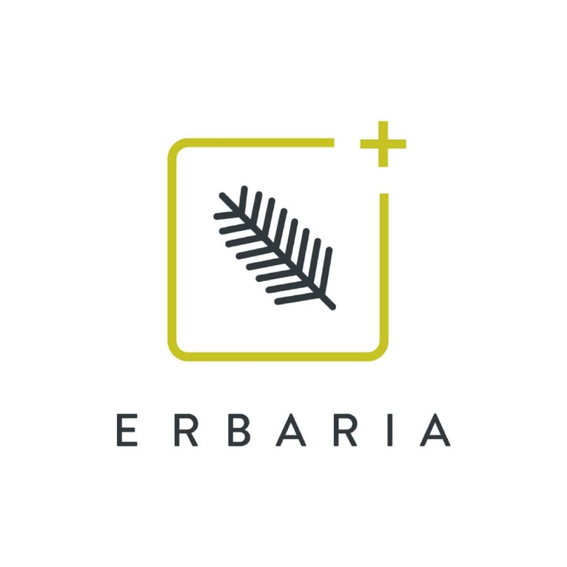 Logo de la empresa
