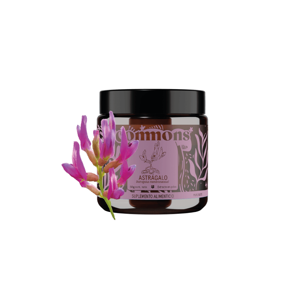 Astragalo Extracto 50g Carry on