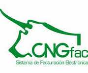 Servicio de Facturación Electrónica