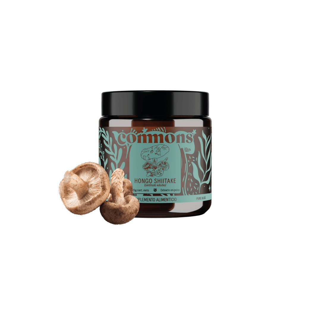 Shiitake Extracto 50g Carry On 
