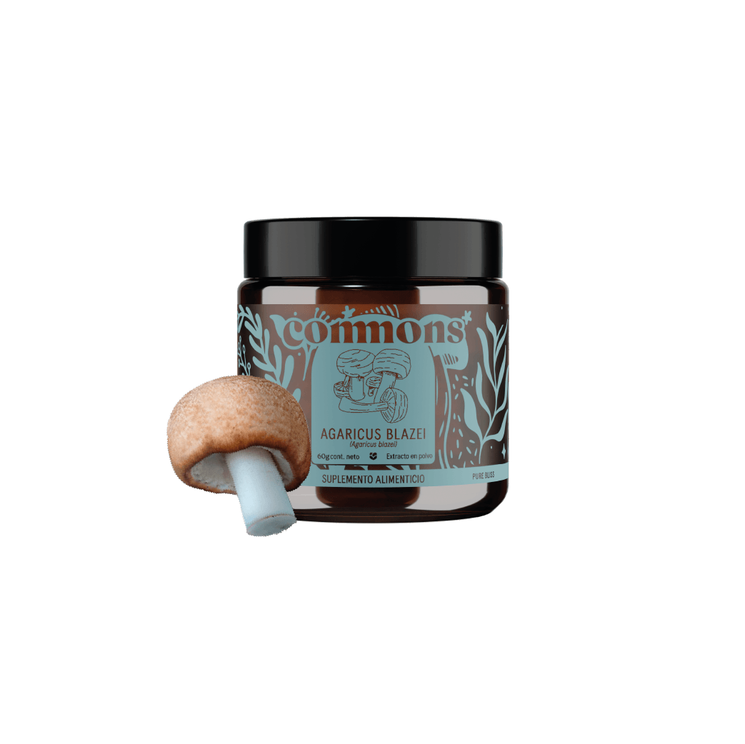 Hongo del Sol Extracto 60g  Carry on 