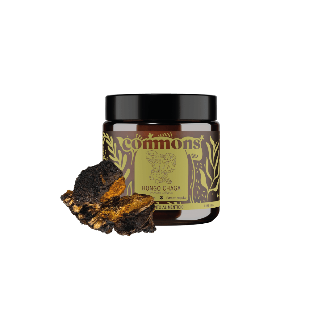 Hongo Chaga 60g Carry On