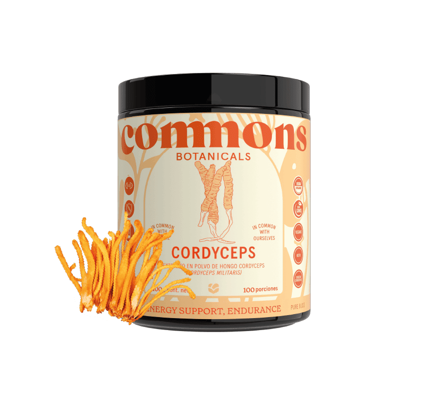 CORDYCEPS 100g FULL SIZE