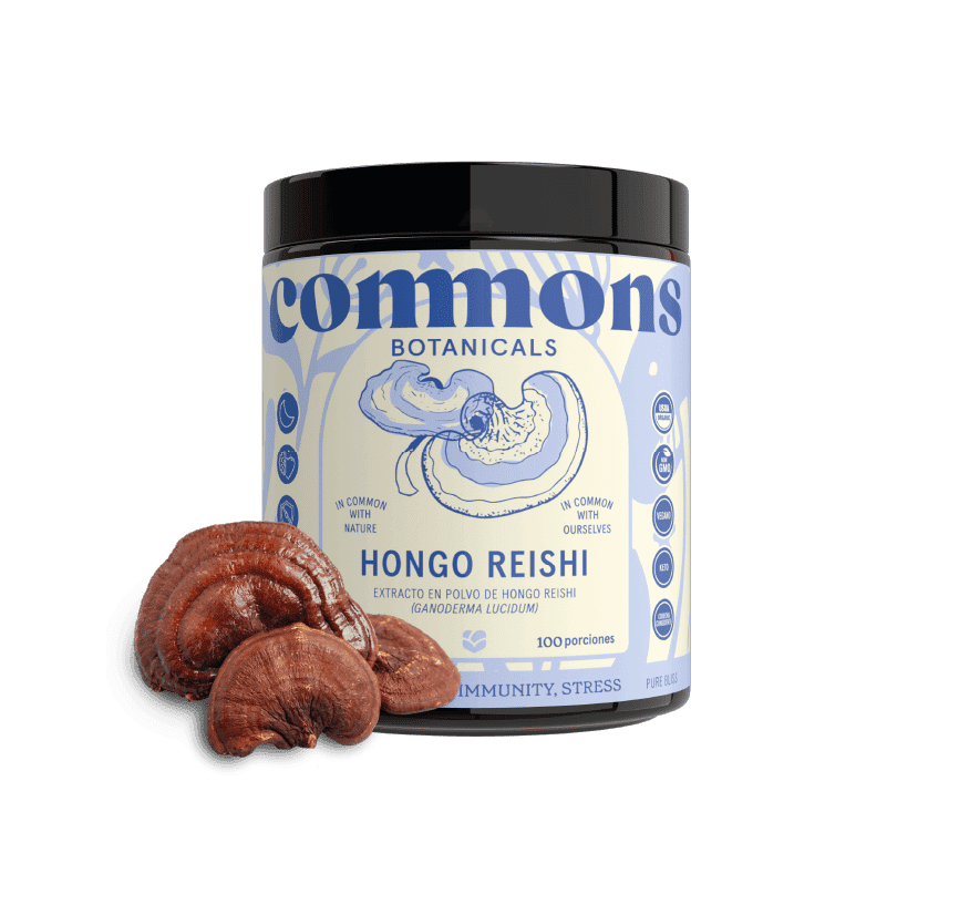 HONGO REISHI 100g FULL SIZE