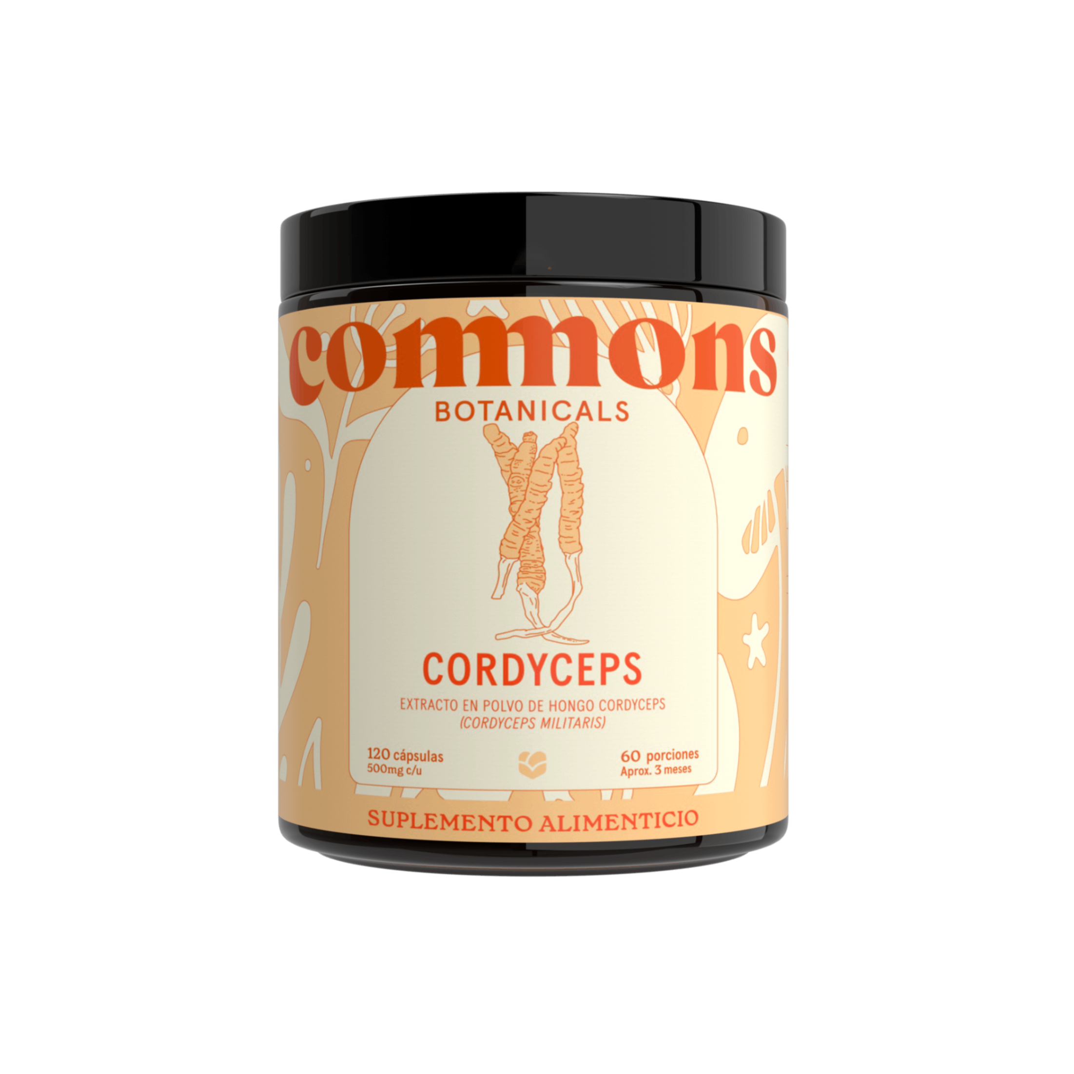 Cordyceps 120 Capsulas