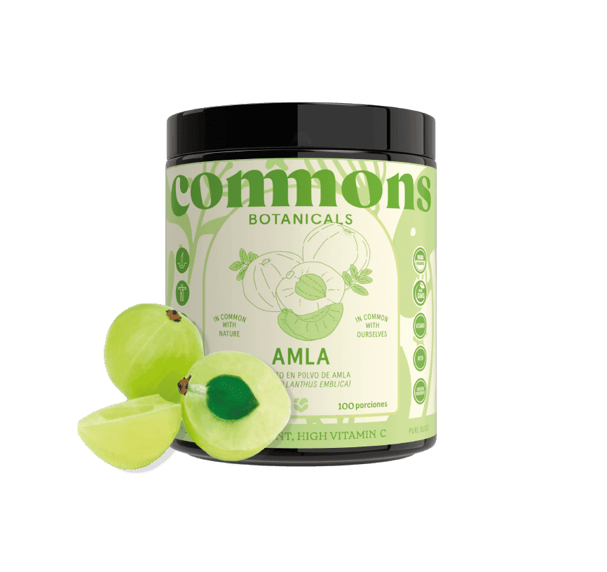 Amla Extracto 100g Full Size 