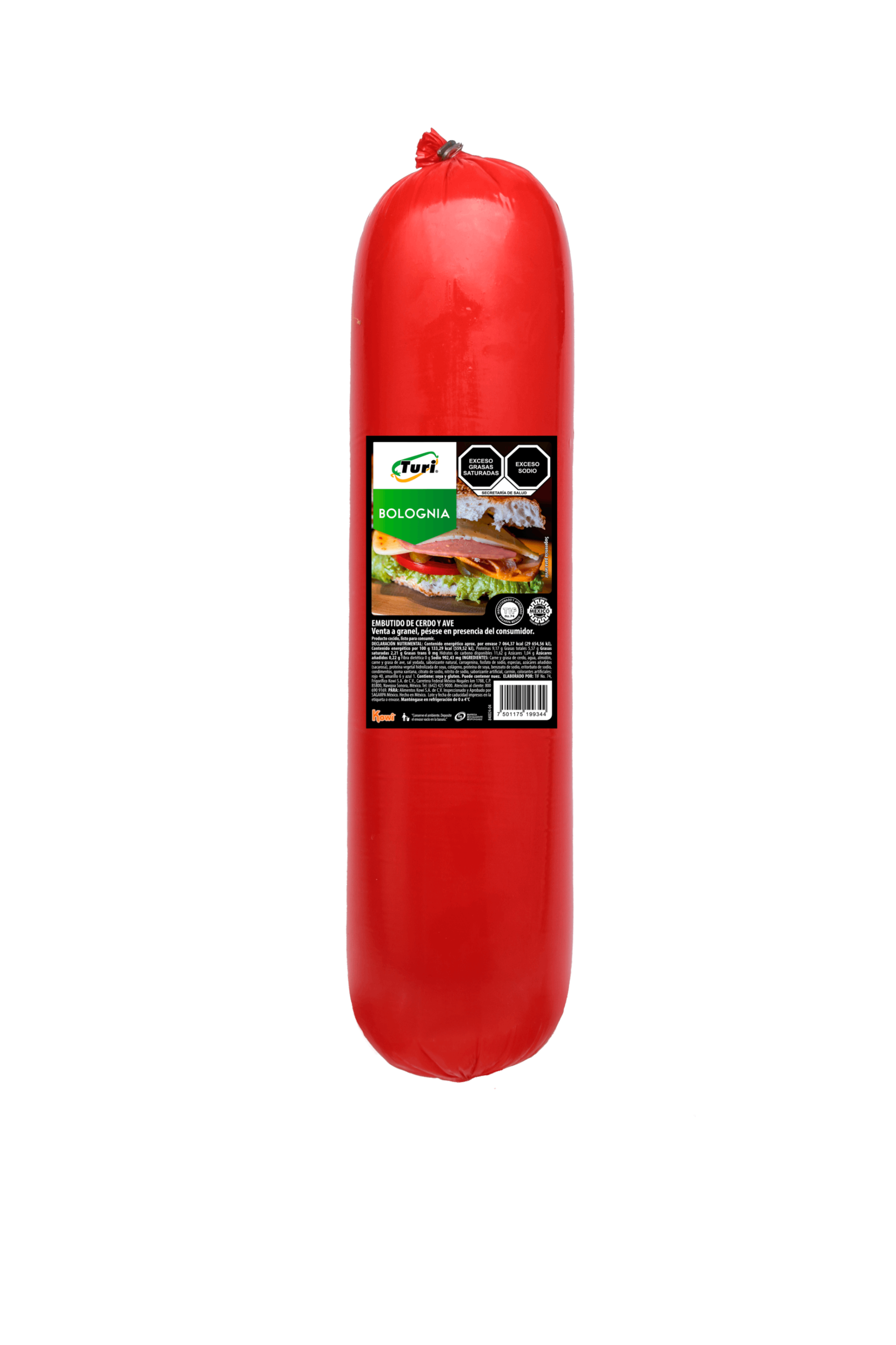 Bolognia