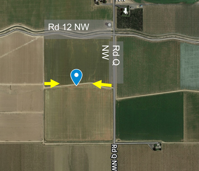 Rescheduled! Día de Campo WA 38 Polinización y cuaja de fruta (Quincy