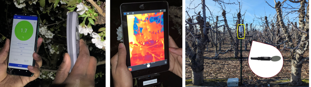 three images - thermometer, imager, and sensor in the orchard