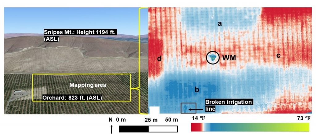 mapping area and thermal image