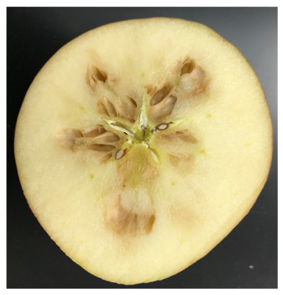 Organic Braeburn Apples — Melissas Produce