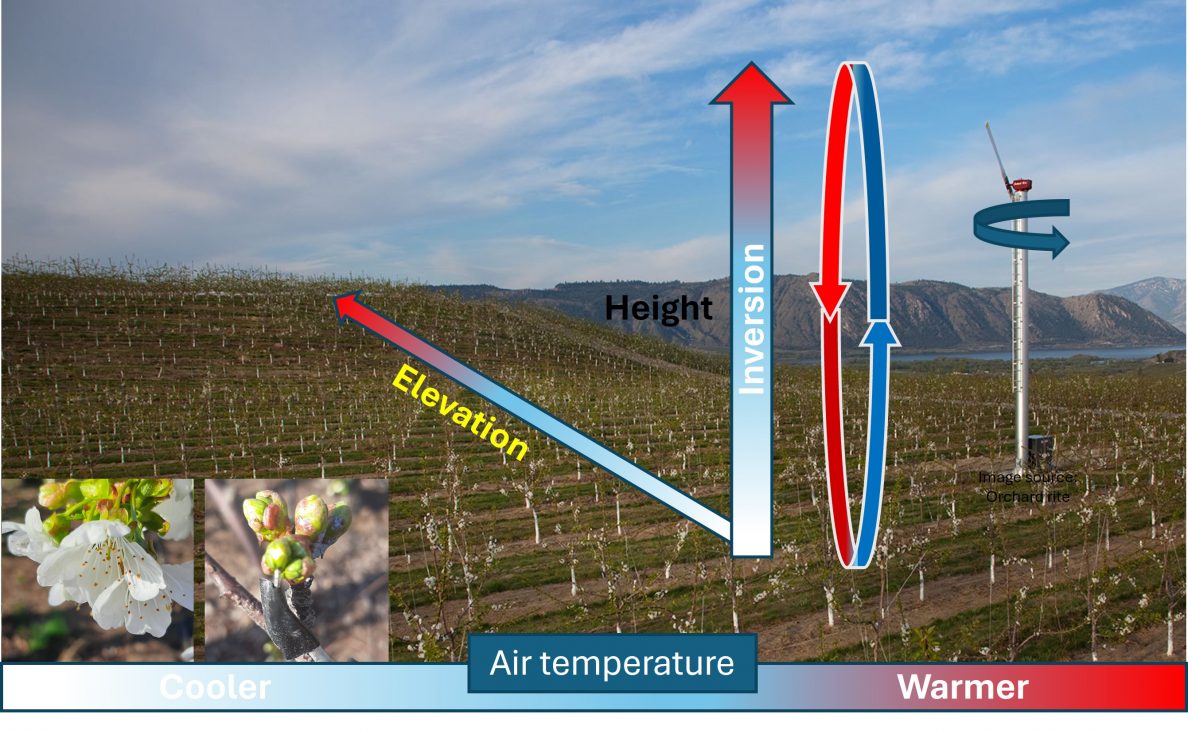 Wanaka Inversion Layer A New Tool to Estimate Inversion Strengths | WSU Tree Fruit ...