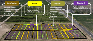 Map of farm experiment with plots outlined.