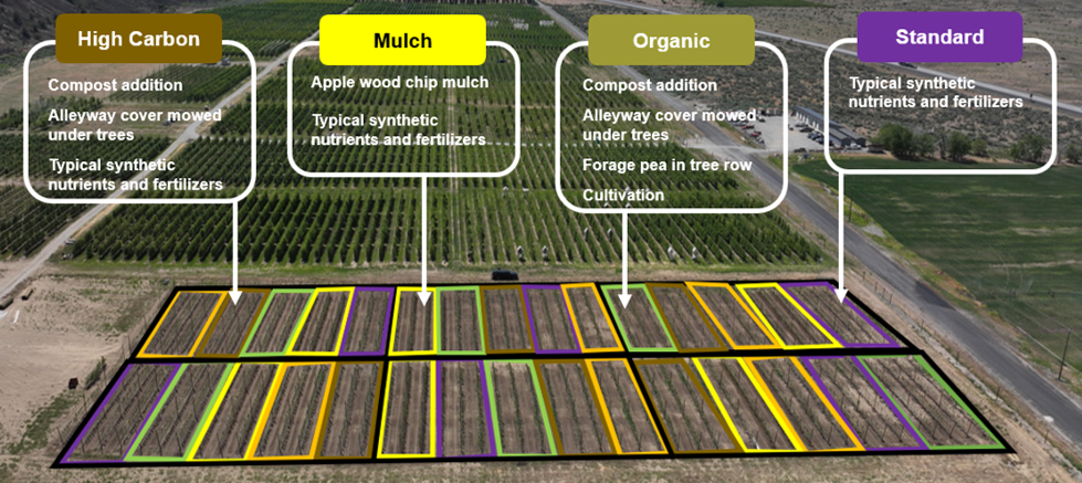 Map of farm experiment with plots outlined.