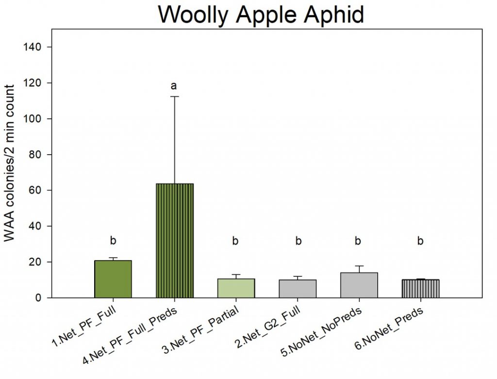 Bar chart with treatments on the x-axis and wooly apple aphid colonies per 2 min count on the y-axis. Treatment 4, Net PF Full Predators, had the most woolly apple aphid colonies.