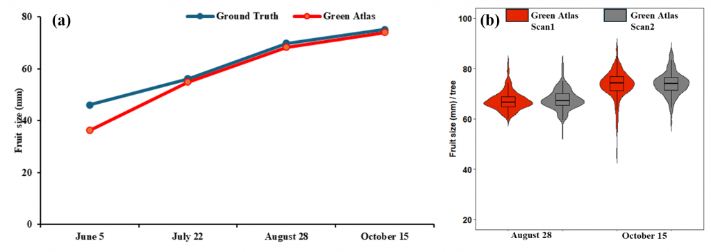 line chart of fruit size comparison 