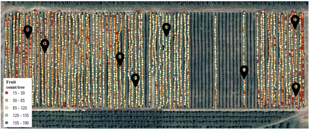 Satellite image of orchard with crop load dots