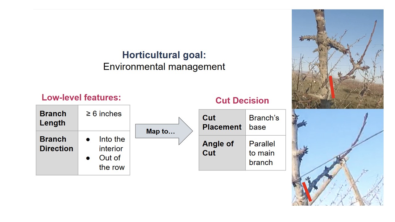 Infographic showing branch low-level features mapped to decisions