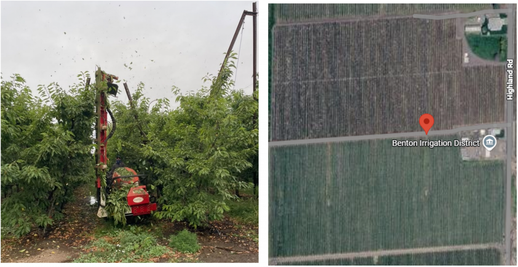 machine hedging trees and a map
