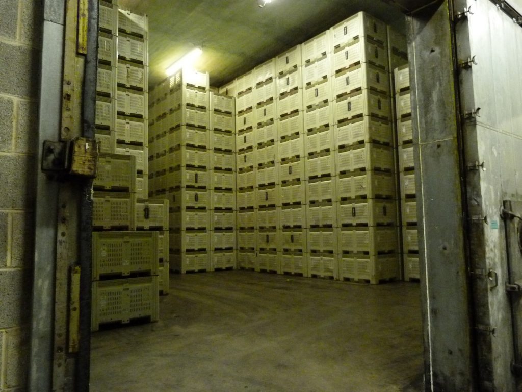 Photo of stacked plastic bins.