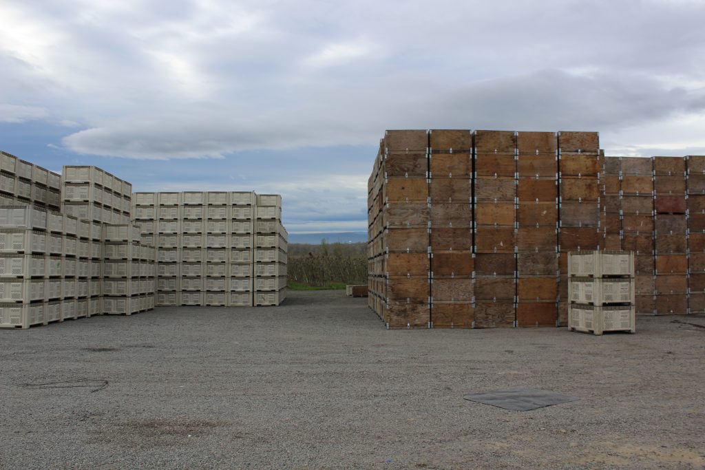 photo of a large wood and plastic bin pile
