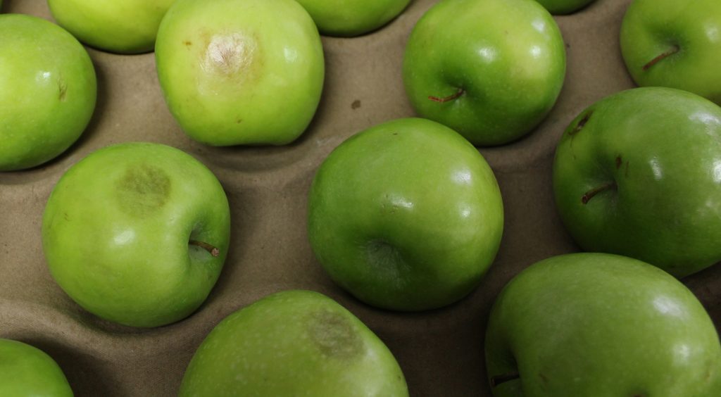 photo of bruised granny smith apples